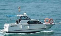 bayliner